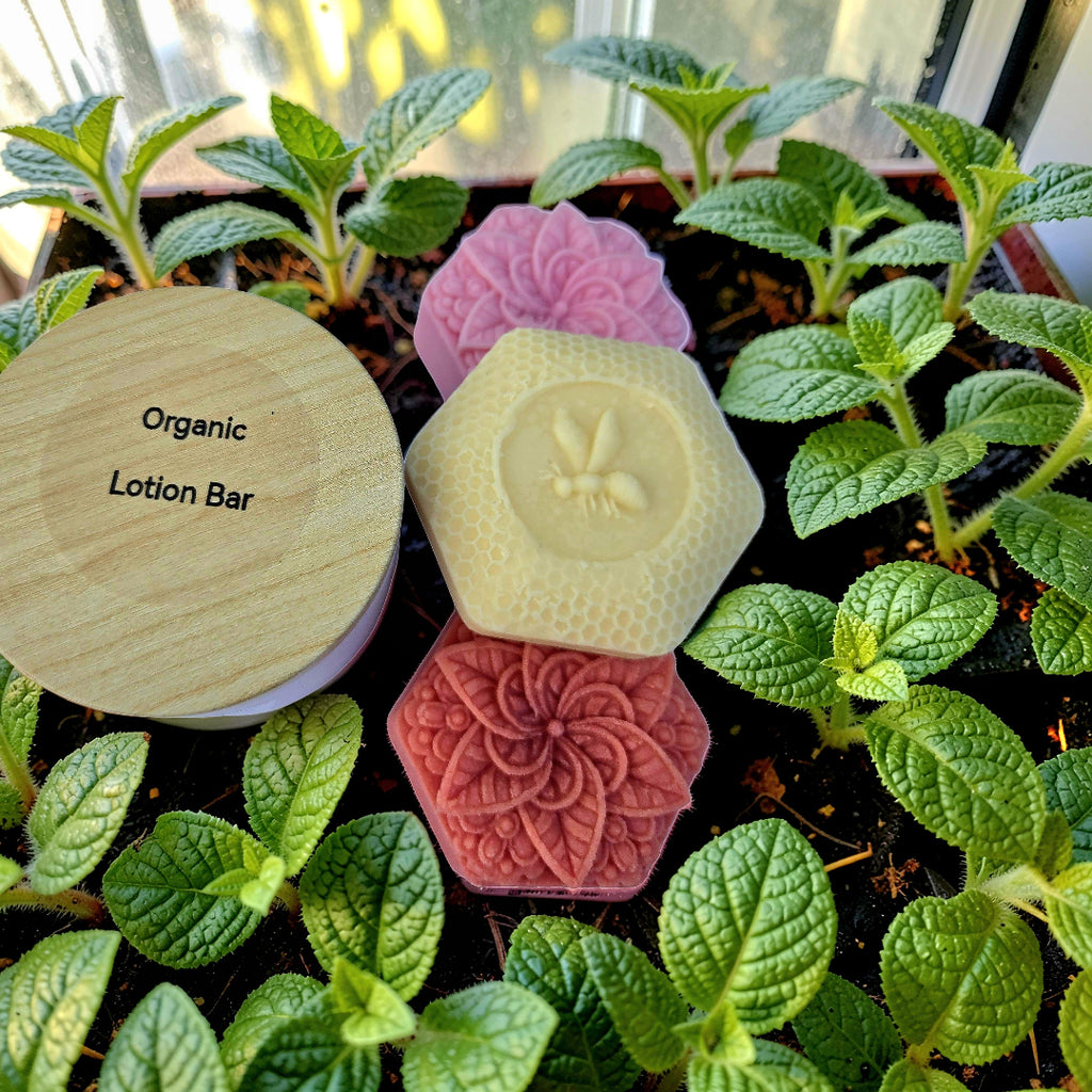 Lotion Bar